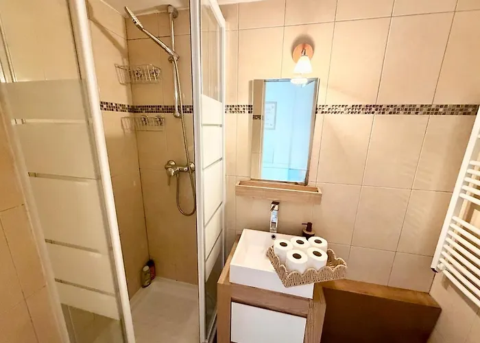 Charming Parisian 2 דירה פריז